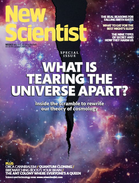 New Scientist